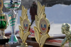 Чемпионат области по хоккею с мячом