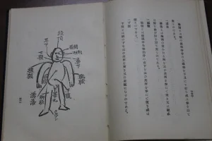 Фрагменты учебника по дзюдо, изданного в 1913 году