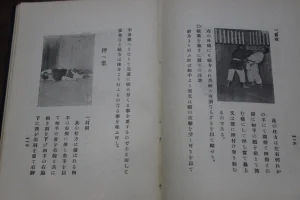 Фрагменты учебника по дзюдо, изданного в 1913 году