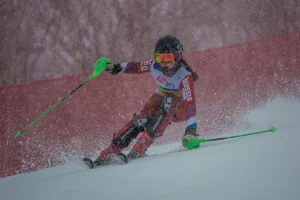 Чемпионат и первенство России по горнолыжному спорту