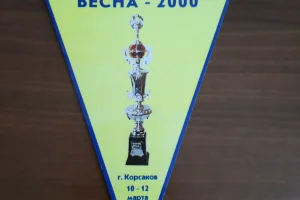 Волейбольные вымпелы