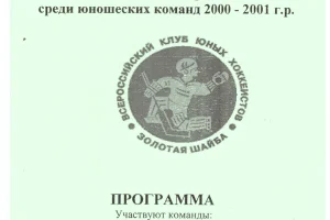 Дальневосточный этап турнира "Золотая шайба" (Свободный) с участием "Авангарда" из Южно-Сахалинска