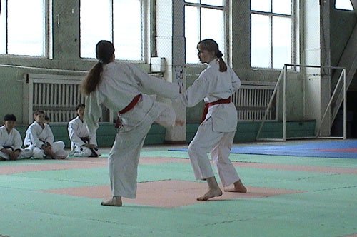 Сахалинская Федерация каратэ-до Сетокан проводит аттестацию спортсменов
апрель 2005г.