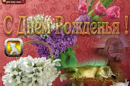 Таисия Дворцова: «Мамочка, с Днем рождения!»