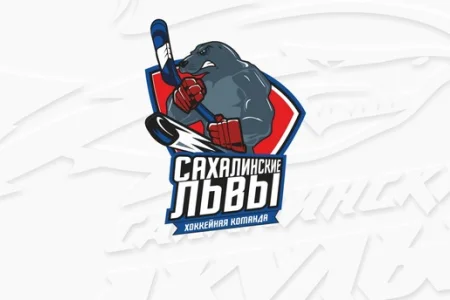 Сахалинская команда по следж-хоккею отправилась на турнир «Герои нашего времени»