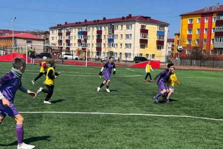 «Кожаный мяч» залетел в Углегорск