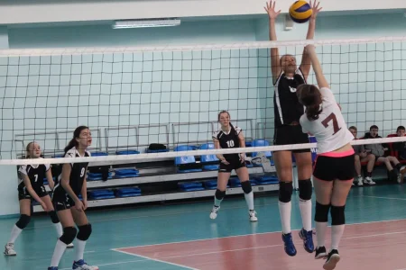 В первенстве области по волейболу принимают участие 15 команд