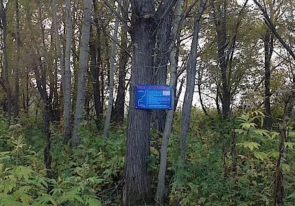 Туристы Тымовска завершили полевой сезон