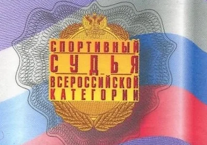 Итоги 2018 года: судей стало больше