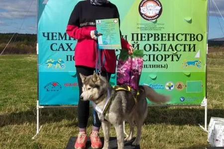 Участники чемпионата и первенства области по ездовому спорту состязались в каникроссе, скутеринге и байкджоринге