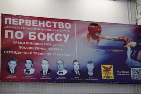 Островные боксеры завоевали две медали первенства ДФО