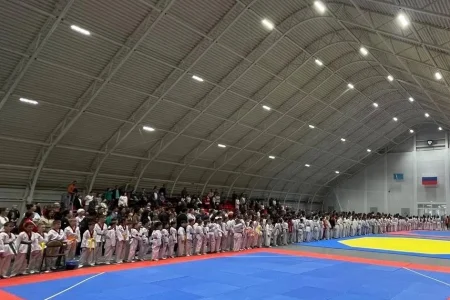 «Кубок мэра АМО» по тхэквондо собрал свыше 300 участников