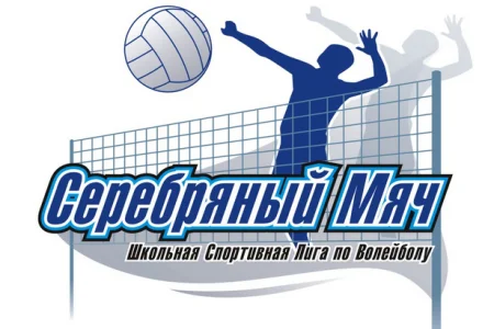 Волейболисты из Углегорска сыграют в Биробиджане