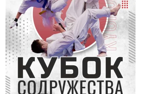 Островные киокушины побьются за «Кубок Содружества»