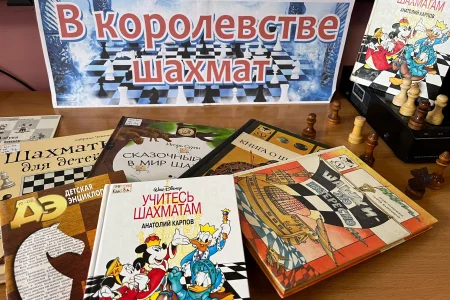 Шахматы в библиотеке