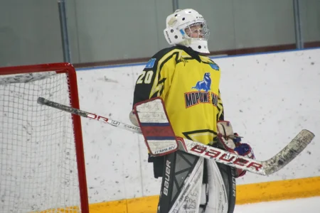 «Львы» шайбы