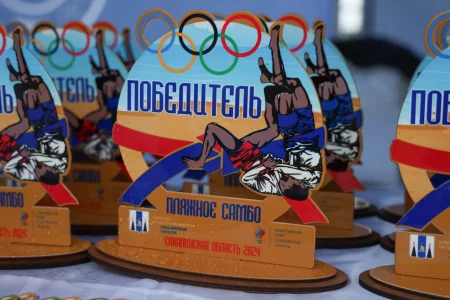 Региональные соревнования по пляжному самбо прошли в Аниве