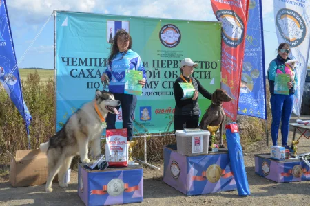 Сахалинцы состязались в в ездовом спорте