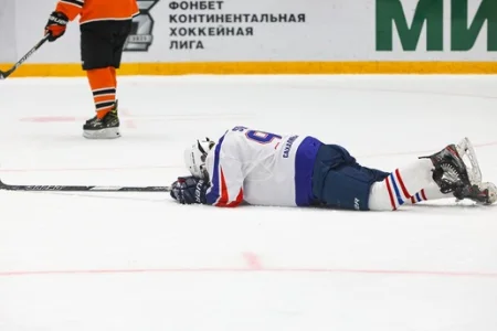 «Тигры» прервали победную серию «Акул»