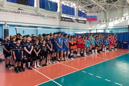 «Золотинка» или «Самородок»?