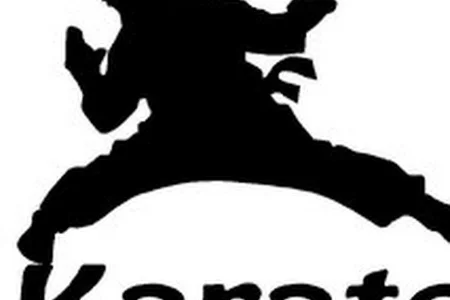 Сахалинские каратисты примут участие в Первенстве России