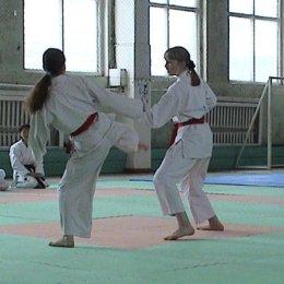 Сахалинская Федерация каратэ-до Сетокан проводит аттестацию спортсменов
апрель 2005г.