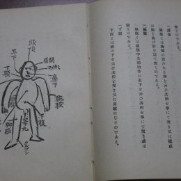 Фрагменты учебника по дзюдо, изданного в 1913 году