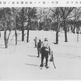 Лыжники. Период японской оккупации северного Сахалина (1920-1925). 