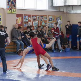 Региональный турнир по вольной борьбе, посвященный памяти Павла Кельмяшкина