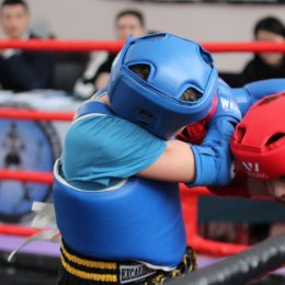 Чемпионат и первенство области по тайскому боксу