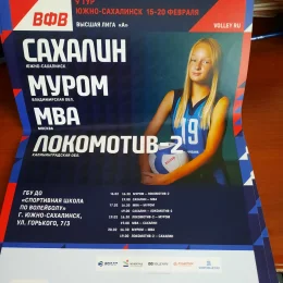 Волейбольные афиши