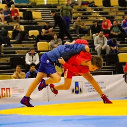 Областной турнир «Динамо»