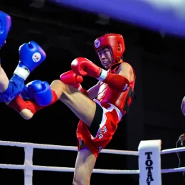 Кубок Южно-Сахалинска по муай-тай