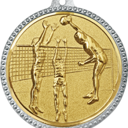 Команда ВЦ «Сахалин» завоевала серебряные медали первенства ДФО