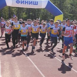 Участниками Всероссийского дня бега «Кросс нации – 2016» в пгт. Ноглики стали свыше 350 спортсменов