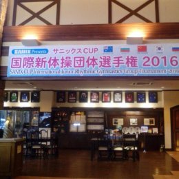 Островные гимнастки примут участие в международном турнире в Японии