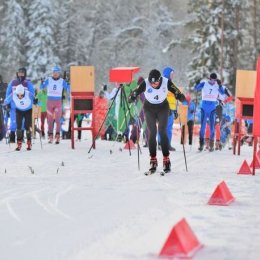 Островные спортсмены выступили на «Красногорской лыжне»