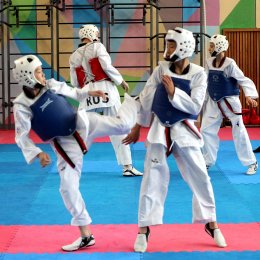 Островные тхэквондисты завоевали четыре медали всероссийских соревнований в Москве