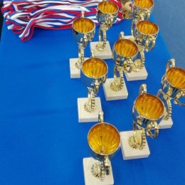 Спортсмены из пяти городов приняли участие в традиционном турнире по самбо