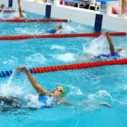 Островные пловцы выполнили норматив мастера спорта и улучшили рекорды области