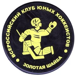 В сахалинском минспорта чествовали юных хоккеистов