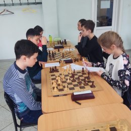 Шахматисты лицея № 2 возглавили турнирную таблицу областного этапа «Белой ладьи»