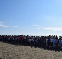 Участниками «Кросса нации-2018» в Поронайске стали свыше 600 человек