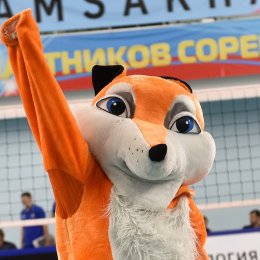 Сахалинские волейболисты начали первенство ДФО с победы