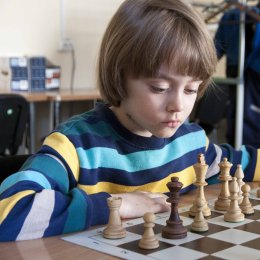 Шахматята Южно-Сахалинска определили победителей городского первенства