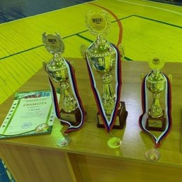 В Углегорске подведены итоги осеннего Кубка по настольному теннису