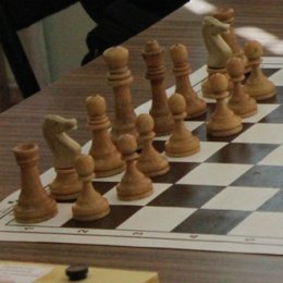 Полтора десятка участников первенства ДДЮТ по шахматам выполнили нормативы на присвоение более высокого разряда