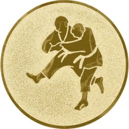 Сахалинские дзюдоисты завоевали шесть медалей Всероссийских турниров