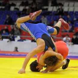 Островные борцы завоевали три медали всероссийских соревнований