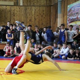 Почти 150 борцов приняли участие в региональном турнире в Тымовске